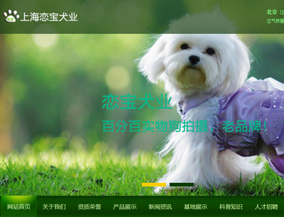 上海网站建设