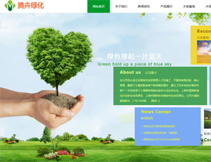 上海网站建设