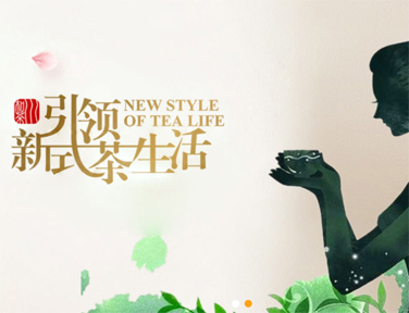 上海网站建设