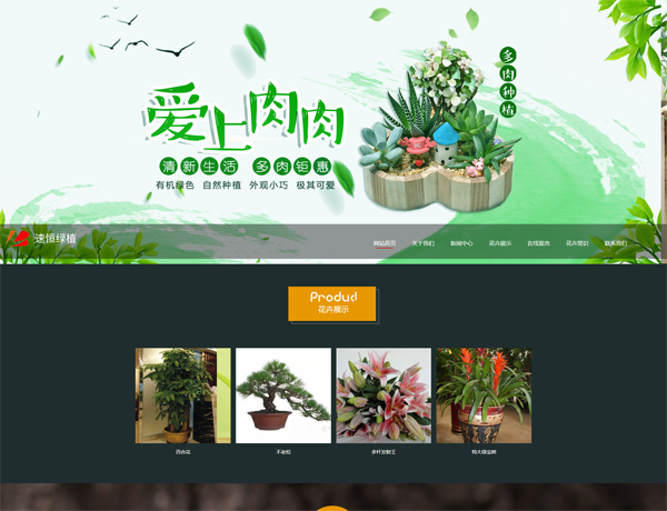  衢州网站建设